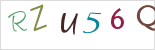 Security code *
