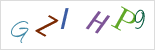 Sicherheitscode *